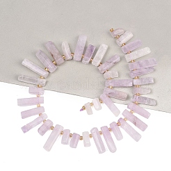 Natürlichen Amethyst Perlen Stränge&nbsp;G-F829-A07-01