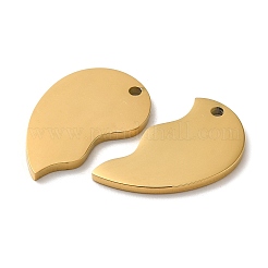 Pendentifs fendus en acier inoxydable 304 avec placage ionique (IP)&nbsp;STAS-K270-09G