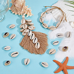 43 шт. бусины из натуральной ракушки каури&nbsp;SSHEL-PH0001-47