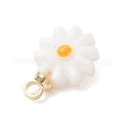 4 шт. 4 варианта подвесок в виде цветов из натуральных пресноводных ракушек с эмалью и латунными креплениями&nbsp;PALLOY-JF04895