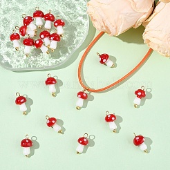 20шт подвески ручной работы лэмпворк&nbsp;PALLOY-YW00077