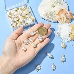 65 шт. 13 стиля из АБС-пластика с имитацией жемчуга&nbsp;PALLOY-CJ00168