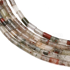 Naturali africane perline Bloodstone fili&nbsp;GG-CBAED3F-A10