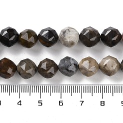 Chapelets de perles en bois pétrifié naturel&nbsp;G-NH0021-A12-02