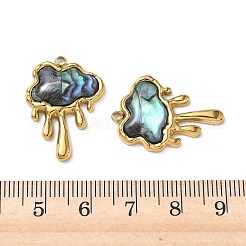 Pendentifs en paua naturel&nbsp;STAS-G397-09G-02