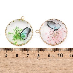 Латунь стекло кулоны&nbsp;FIND-G101-06G