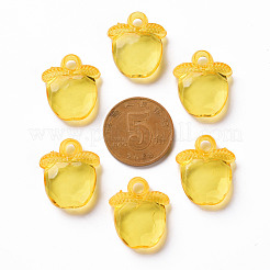 Прозрачные акриловые подвески&nbsp;TACR-S154-28B-81