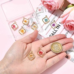 10 шт. подвески из эпоксидной смолы из цинкового сплава 5 цветов&nbsp;FIND-CJ0004-93