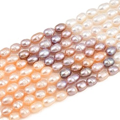 Fili di perle coltivate d'acqua dolce naturali in tre colori&nbsp;PA-CBAFEE8-04B