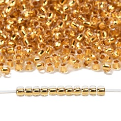 Toho-Rundperlen&nbsp;X-SEED-TR11-0701