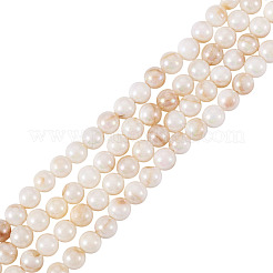 2 filo di perline di conchiglia d'acqua dolce naturale color ab&nbsp;BSHE-TA0001-40