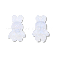 Прозрачные акриловые бусины&nbsp;OACR-N008-172F