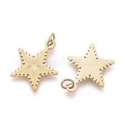 Ионное покрытие (ip) подвески из нержавеющей стали 304&nbsp;STAS-H100-41G