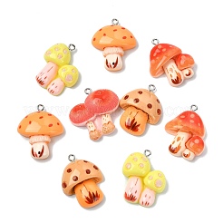 30pcs 5 styles de pendentifs en résine&nbsp;RESI-CJ0005-20