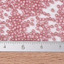 Miyuki Delica Perlen&nbsp;SEED-JP0008-DB2189
