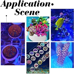 24 шт. 2-х видов фарфоровых коралловых фрагментов&nbsp;AJEW-CA0003-37