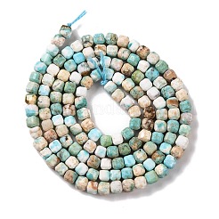Fili di perline howlite naturale&nbsp;G-H025-04A