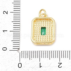 Латунные подвески с натуральными раковинами морского ушка&nbsp;KK-C170-05G-01