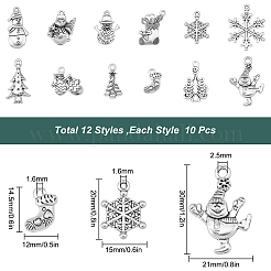 Подвески из сплава в тибетском стиле&nbsp;TIBE-SC0001-64