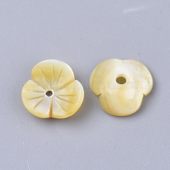 Cuentas de concha de color amarillo&nbsp;SSHEL-S251-39