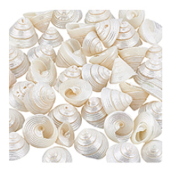100 г украшения из натуральной ракушки&nbsp;SSHEL-PH0001-40B