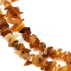 Ambre naturel perles puce brins&nbsp;X-G-E271-81-01