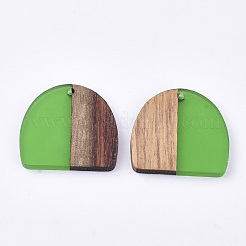 Полукруглые подвески из смолы и ореха&nbsp;LS-RESI-T035-07C