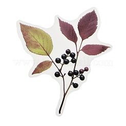 40 шт. самоклеящиеся декоративные ленты для животных&nbsp;STIC-P016-C03