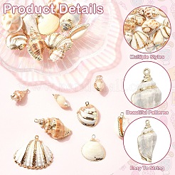18 шт. 9 стиля подвески из натуральных ракушек с гальваническим покрытием&nbsp;BSHE-YW0001-08
