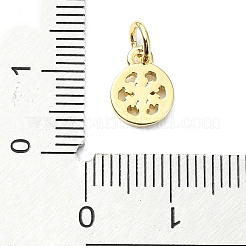 Pendentifs en laiton&nbsp;KK-H475-32G
