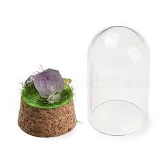 Pepitas de amatista natural muestran decoración con cubierta de campana de cúpula de vidrio&nbsp;DJEW-B009-03E