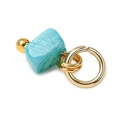 Подвески из натуральных окрашенных пресноводных ракушек&nbsp;PALLOY-JF04375-01