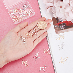 20 шт. 2-цветный сплав со стразами и латунными звеньями&nbsp;KK-PH0003-93