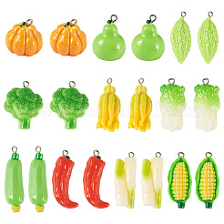 20pcs 10 styles de pendentifs en résine opaque&nbsp;RESI-TA0005-37