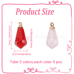 10шт 2 цвета прозрачные подвески из смолы&nbsp;RESI-FP0001-40