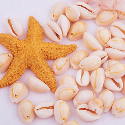 Perle a conchiglia ovale in scatola da 1 scatola con fori per imbarcazioni di 13-17mm di lunghezza&nbsp;BSHE-PH0001-05