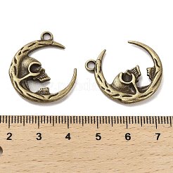 Tibetischer stil Aluminium Anhänger & Charms&nbsp;FIND-C043-010AB