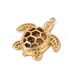 Pendentifs en coquillage naturel sur le thème des organismes marins&nbsp;SH-CBA6E49-01G-E