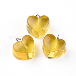 Подвески из смолы&nbsp;RESI-WH0008-12C