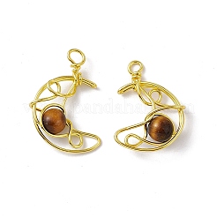 Природных тигровый глаз подвески&nbsp;G-H281-41G-05