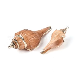 Colgantes grandes de concha de caracola natural galvanizada&nbsp;SSHEL-T018-06