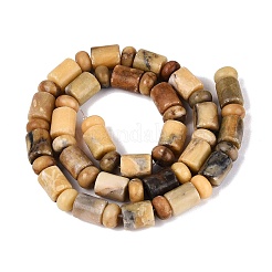 Fili di perle di giada naturale Huanglong&nbsp;G-Q616-09G