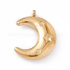 Ионное покрытие (ip) подвески из нержавеющей стали 304&nbsp;X-STAS-E173-01G