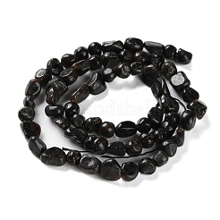 Натуральные нити из кианита / цианита / дистенового бисера G-P497-01C-34