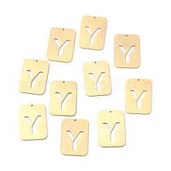 Pendentifs en acier inoxydable 304 avec placage ionique (IP)&nbsp;STAS-K216-49Y-G