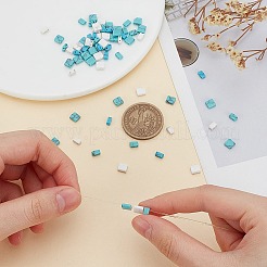 72шт 6 стиля натуральный говлит&nbsp;G-AR0006-01