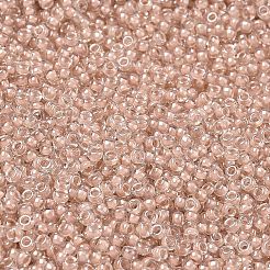 Perles rocailles miyuki rondes&nbsp;X-SEED-G007-RRHB279