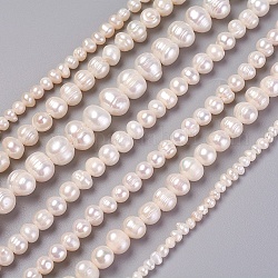 Hebras de perlas de agua dulce cultivadas naturales, patata, blanco, 3~13x3~13mm, agujero: 0.5~1 mm, aproximamente 24~136 pcs / cadena, 13 pulgada ~ 16.1 pulgadas (33~41 cm)