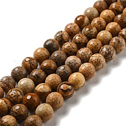 Natürliches Bild Jaspis Perlen Stränge, facettiert (128 Facetten), Runde, 10 mm, Bohrung: 1 mm, ca. 36~38 Stk. / Strang, 14.17~14.96 Zoll (36~38 cm)