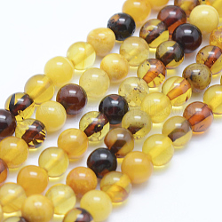 Perles d'ambre naturel brins, ronde, 6mm, Trou: 1mm, Environ 63~66 pcs/chapelet, 15.7 pouce (40 cm)